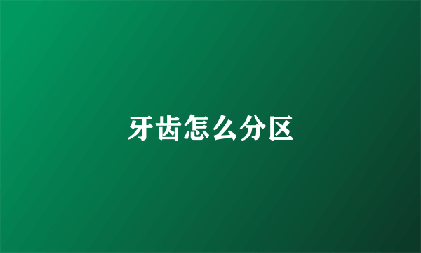 牙齿怎么分区