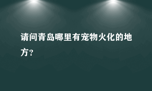 请问青岛哪里有宠物火化的地方？