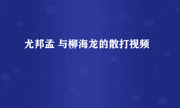 尤邦孟 与柳海龙的散打视频