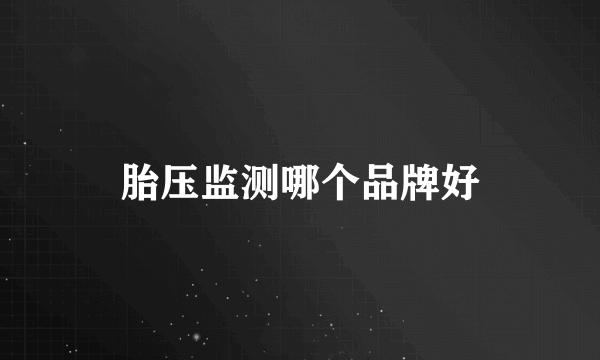 胎压监测哪个品牌好