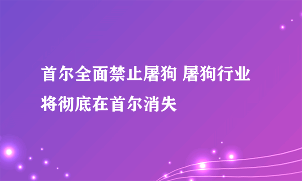 首尔全面禁止屠狗 屠狗行业将彻底在首尔消失