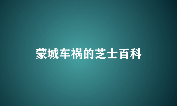 蒙城车祸的芝士百科