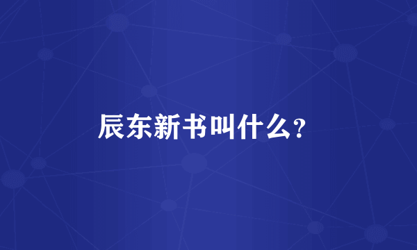 辰东新书叫什么？