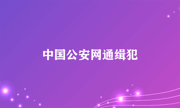 中国公安网通缉犯