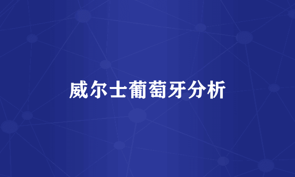 威尔士葡萄牙分析