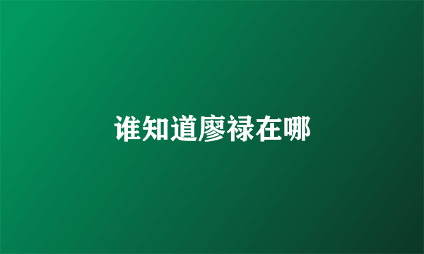 谁知道廖禄在哪