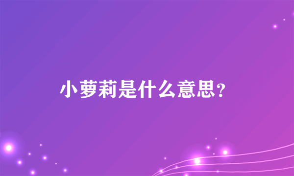 小萝莉是什么意思？