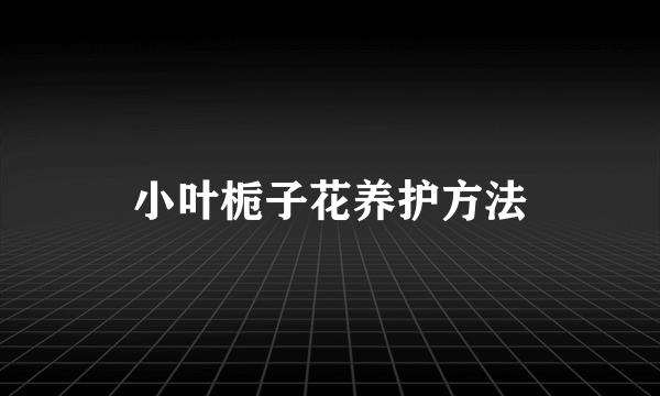 小叶栀子花养护方法