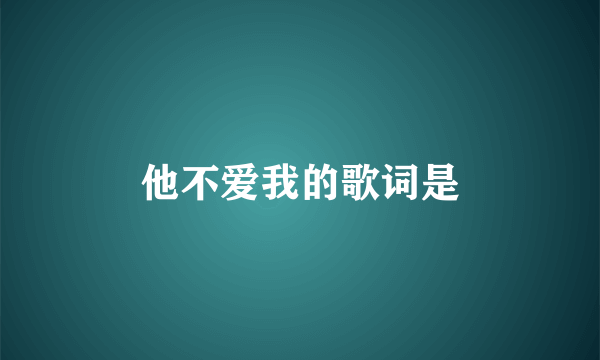 他不爱我的歌词是