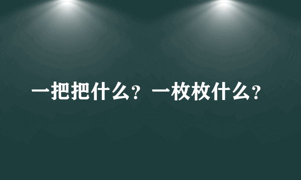 一把把什么？一枚枚什么？