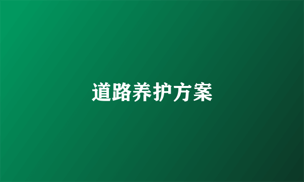 道路养护方案