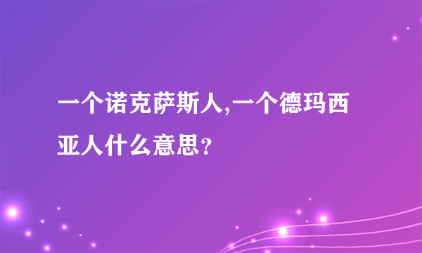一个诺克萨斯人,一个德玛西亚人什么意思？