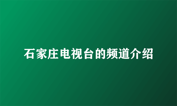石家庄电视台的频道介绍