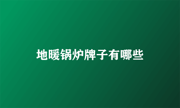 地暖锅炉牌子有哪些