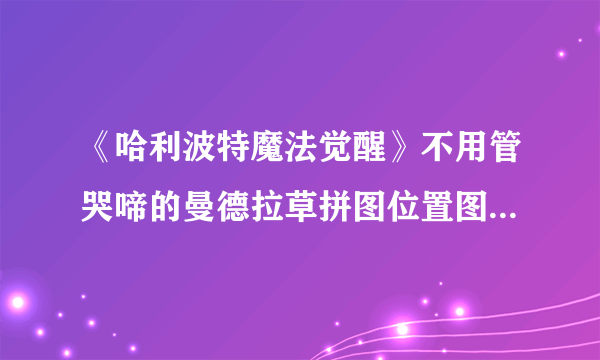 《哈利波特魔法觉醒》不用管哭啼的曼德拉草拼图位置图文教程 不用管哭啼的曼德拉草在哪里