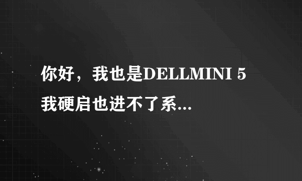你好，我也是DELLMINI 5 我硬启也进不了系统，可以教我如何刷机吗？
