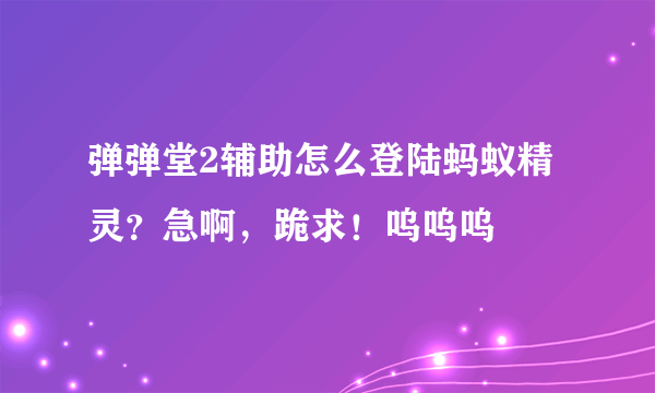 弹弹堂2辅助怎么登陆蚂蚁精灵？急啊，跪求！呜呜呜