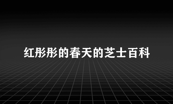 红彤彤的春天的芝士百科
