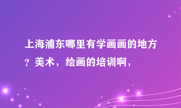 上海浦东哪里有学画画的地方？美术，绘画的培训啊，