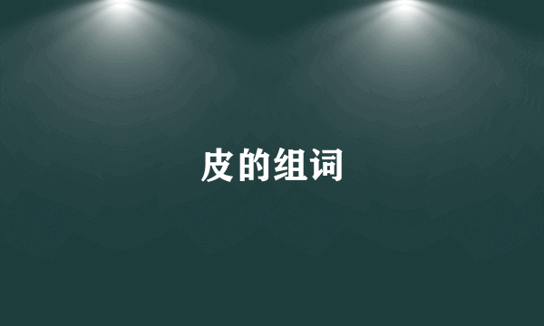 皮的组词