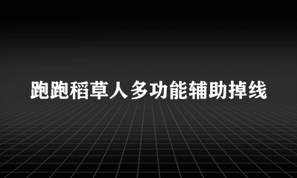 跑跑稻草人多功能辅助掉线