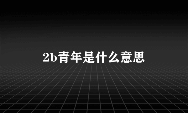 2b青年是什么意思