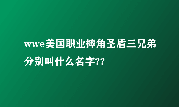 wwe美国职业摔角圣盾三兄弟分别叫什么名字??