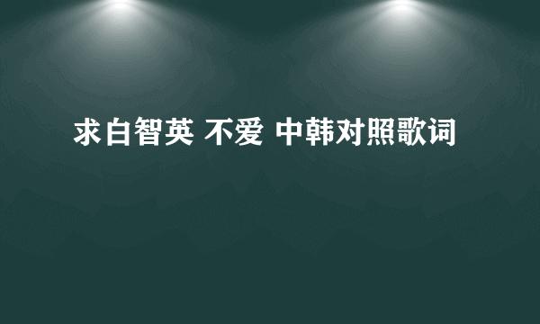求白智英 不爱 中韩对照歌词