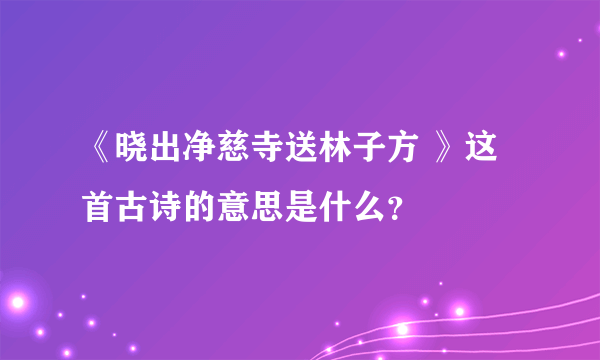 《晓出净慈寺送林子方 》这首古诗的意思是什么？
