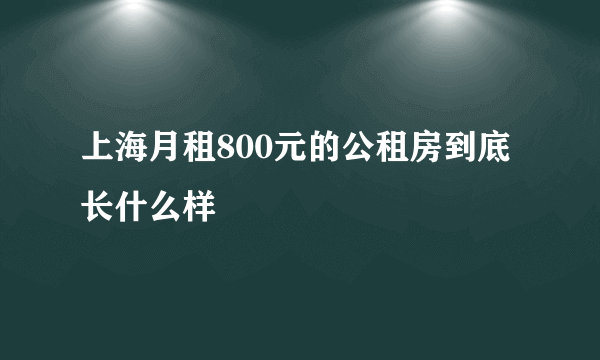 上海月租800元的公租房到底长什么样