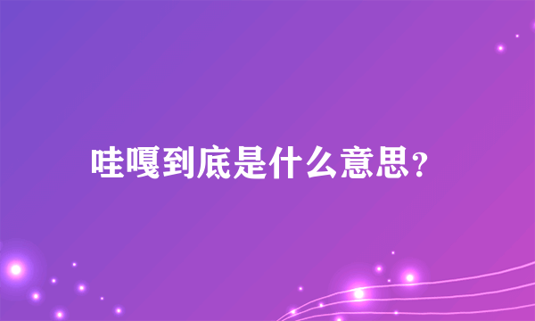 哇嘎到底是什么意思？