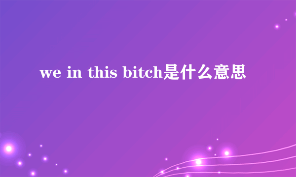 we in this bitch是什么意思