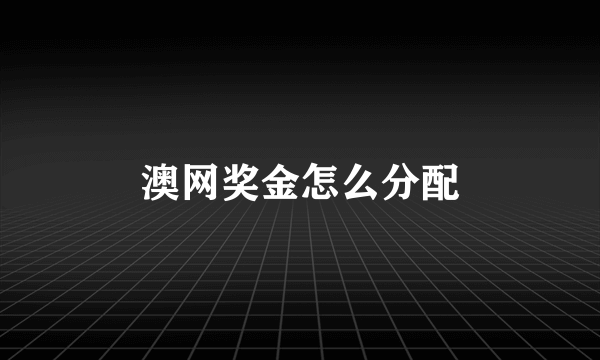 澳网奖金怎么分配