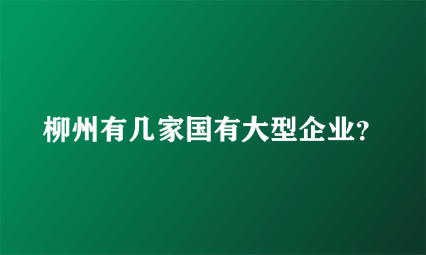 柳州有几家国有大型企业？