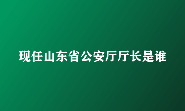 现任山东省公安厅厅长是谁