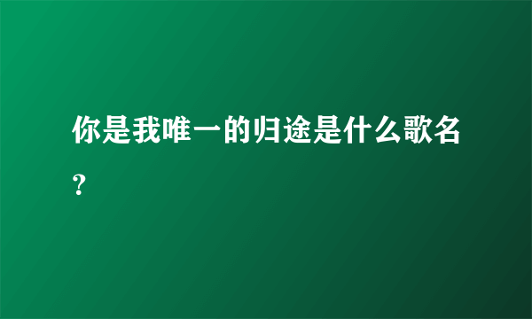 你是我唯一的归途是什么歌名？