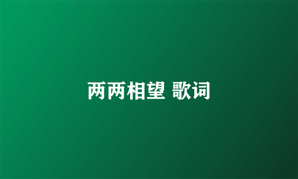 两两相望 歌词