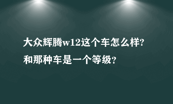 大众辉腾w12这个车怎么样?和那种车是一个等级？