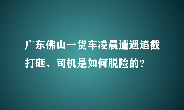 广东佛山一货车凌晨遭遇追截打砸，司机是如何脱险的？