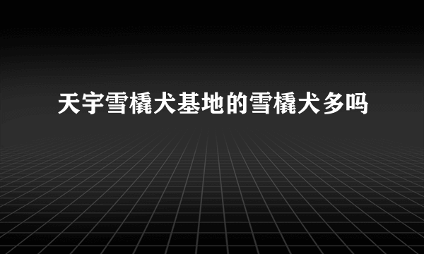 天宇雪橇犬基地的雪橇犬多吗