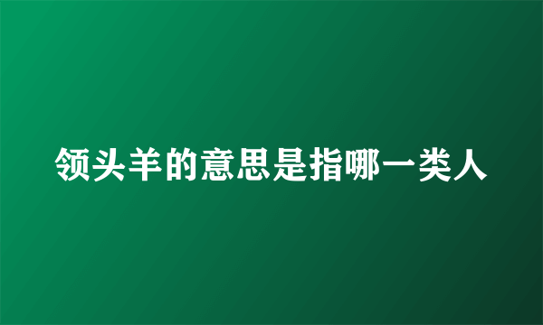 领头羊的意思是指哪一类人