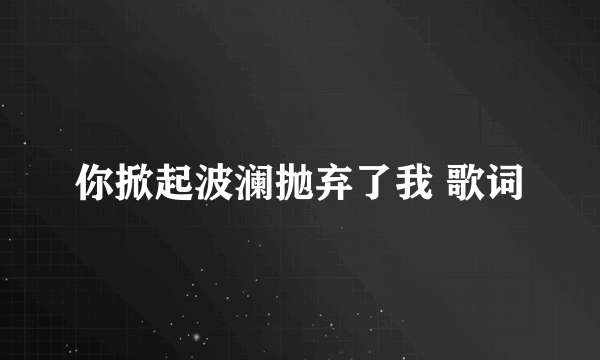 你掀起波澜抛弃了我 歌词