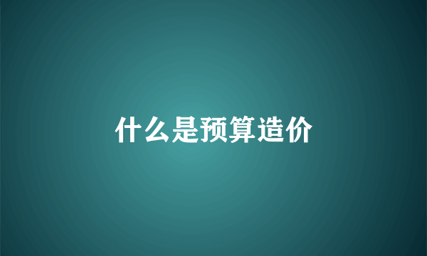 什么是预算造价