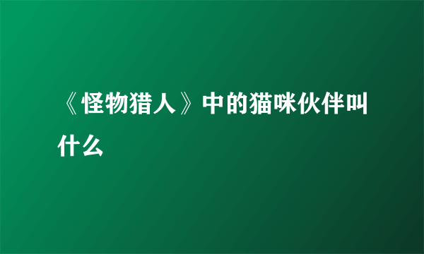 《怪物猎人》中的猫咪伙伴叫什么