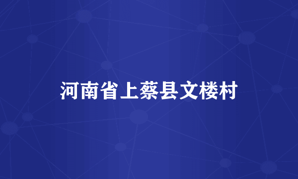 河南省上蔡县文楼村