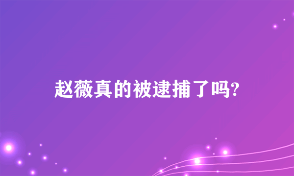 赵薇真的被逮捕了吗?