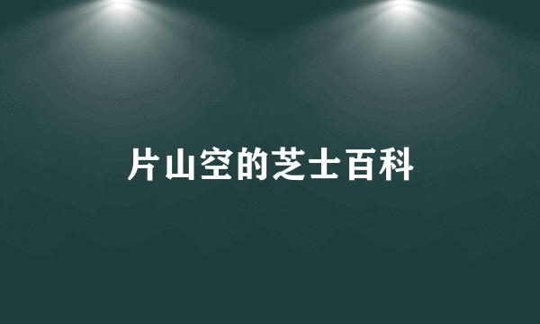 片山空的芝士百科