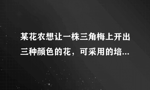 某花农想让一株三角梅上开出三种颜色的花，可采用的培育方法是（　　）A.扦插B. 嫁接C. 杂交D. 有性生殖