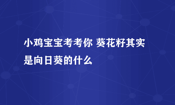 小鸡宝宝考考你 葵花籽其实是向日葵的什么