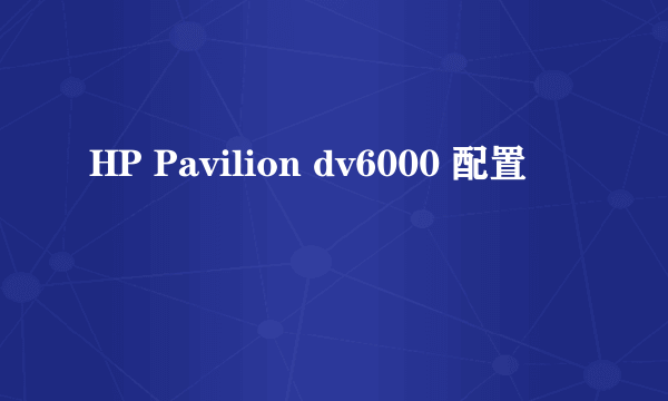 HP Pavilion dv6000 配置